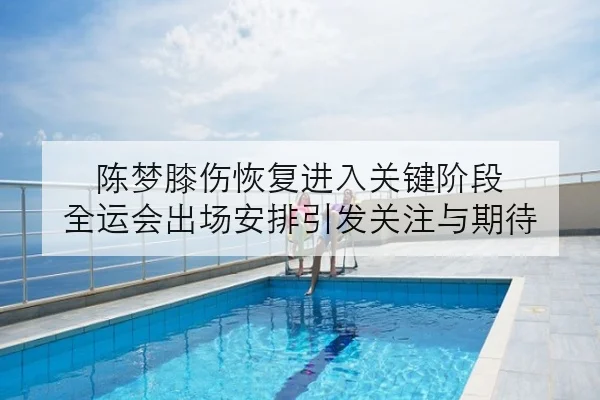 陈梦膝伤恢复进入关键阶段 全运会出场安排引发关注与期待
