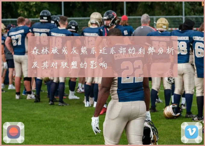 森林狼或灰熊东迁东部的利弊分析及其对联盟的影响